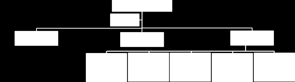 Section 4 Organisering ved fakultetene Opprettelse av fem funksjonsbaserte team med tilhørende ansvarsområder i Seksjon for studieadministrasjon ved fakultet eksamen og studieadm.