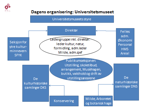 Fig. 1a Universitetsmuseets