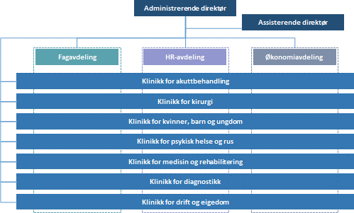 Organisasjonsutvikling i Helse Møre og Romsdal Prosessen med å utarbeide en løsning for å ivareta behovet for stedlig ledelse innenfor en tverrgående organisasjonsstruktur er en del av et større