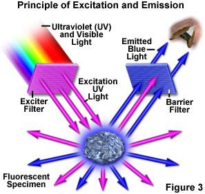 Hydrodynamically focused