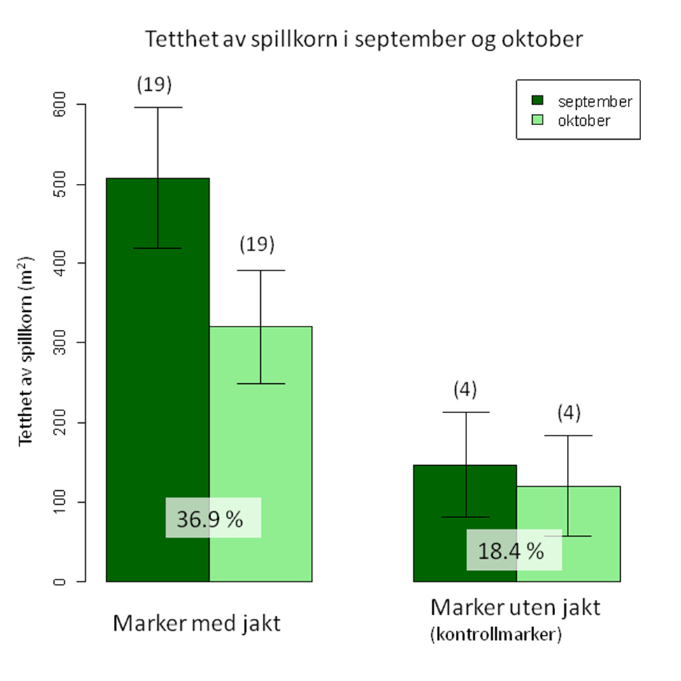 Tetthet av spillkorn i september og oktober Mye ressurser igjen når gjessene forlater