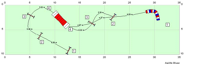 dommeren vil foretrekke at hundene løper for at man skal overholde distanse regelen (mellom 5-7 meter, small 4-7 meter) Hinder kombinasjonene 2-3-4 er eksakt den samme i begge situasjoner, men fordi