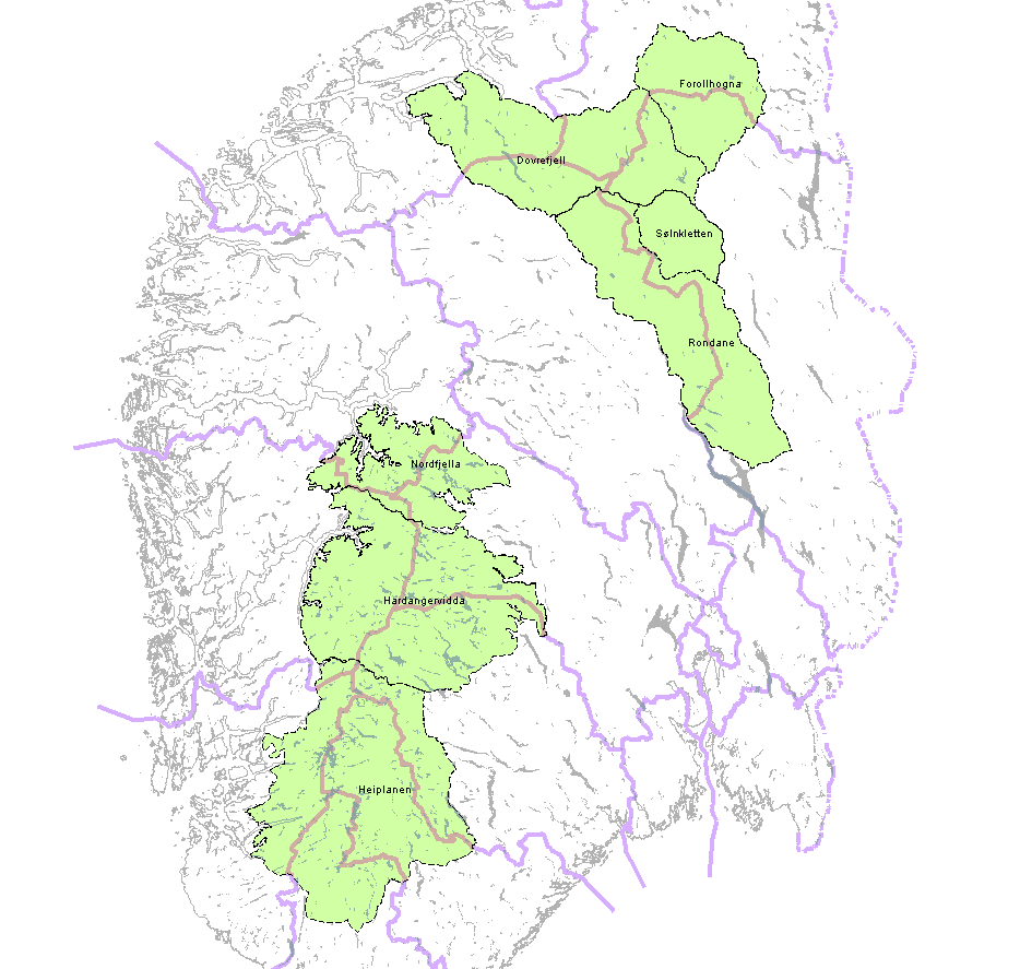 Utkast til