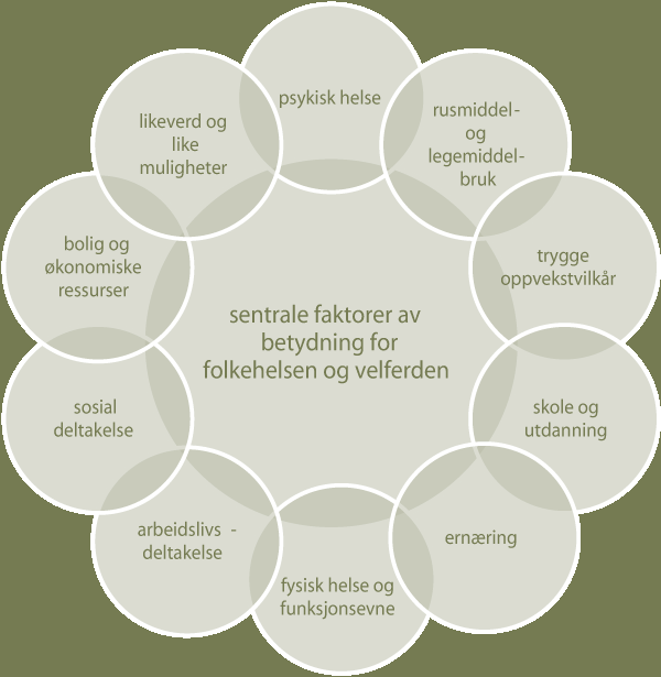 FIGUR 3: NOKRE SENTRALE FAKTORAR AV BETYDNING FOR BEFOLKNINGA SI HELSE OG VELFERD (KJELDE: REGJERINGEN.