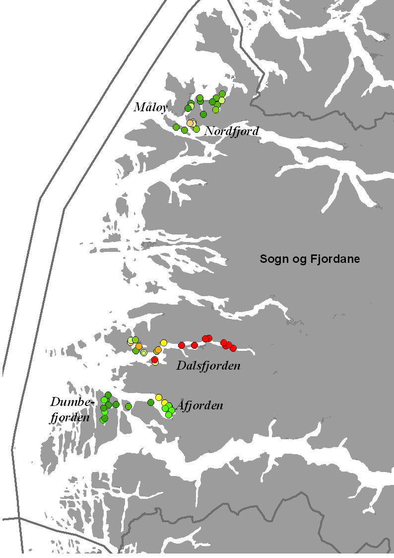 Vestlandet Fylke: Sogn og Fjordane Vannregion: Vestlandet I Sogn og Fjordane er det utført kartlegging ved Måløy, i Dalsfjorden, i Åfjorden og i Dumbefjorden i 26 og med gjenbesøk i 28 (unntatt ved