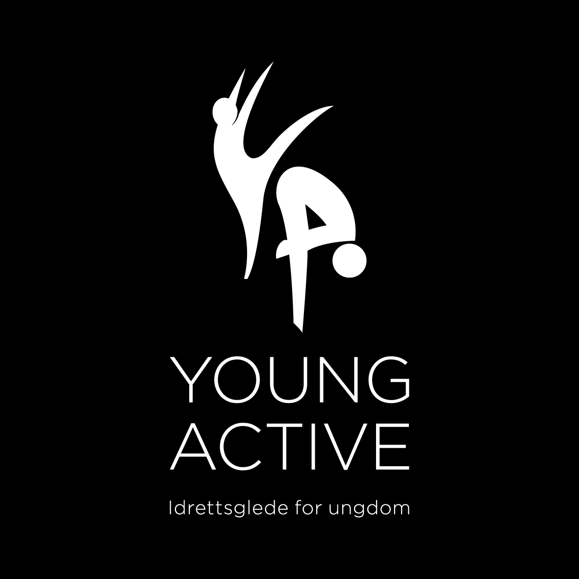 OM KONSEPTET Visjon: «Idrettsglede for ungdom i Akershus» Målgruppe: 1. Ungdom (15-20 år*) som ønsker å bli trenere / ledere for en YouAct-gruppe 2.