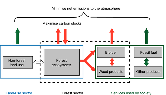 Skogsektorens rolle i klimasammenheng Minimere klimagassutslipp til atmosfæren Maksimere karbonlager Bioenergi Fossil energi Annen arealbruk