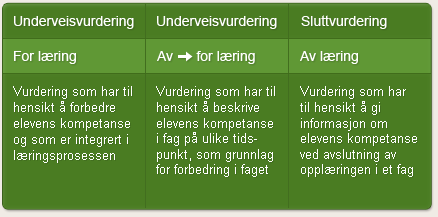 Vurdering Fire prinsipper for vurdering for læring: Elevene skal forstå hva de skal lære og hva som forventes av dem.