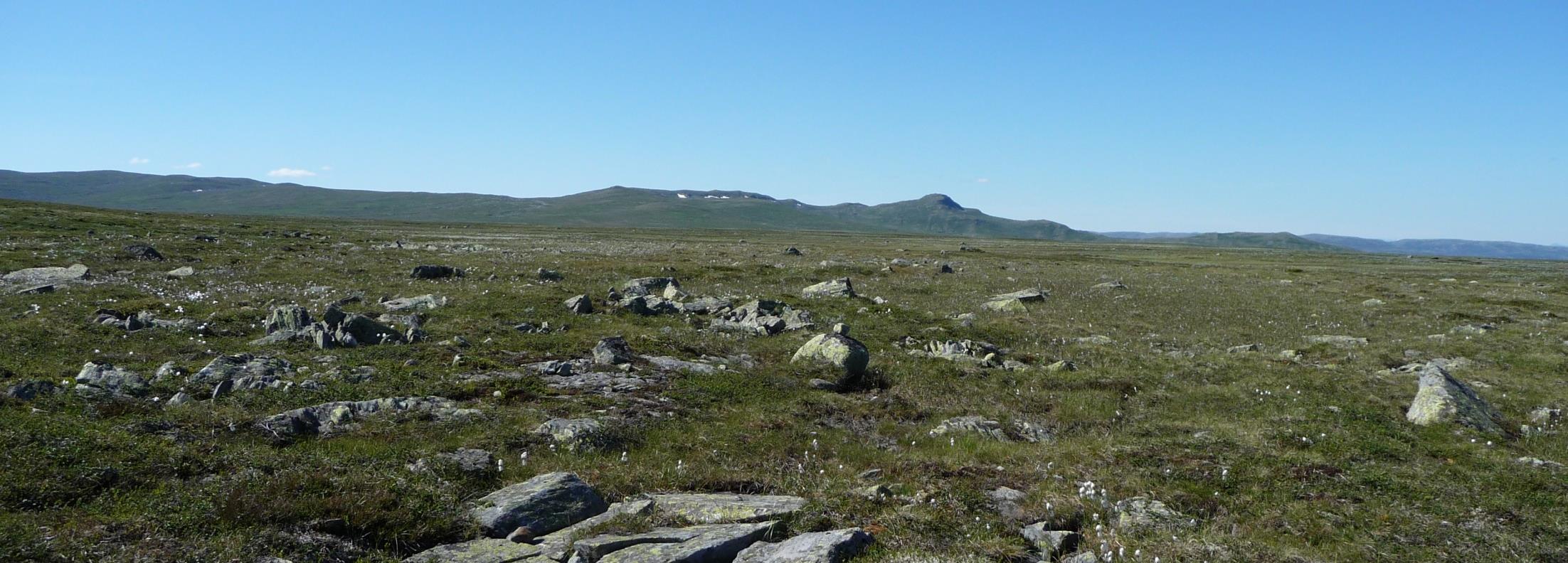 HARDANGERVIDDA OG NORDFJELLA