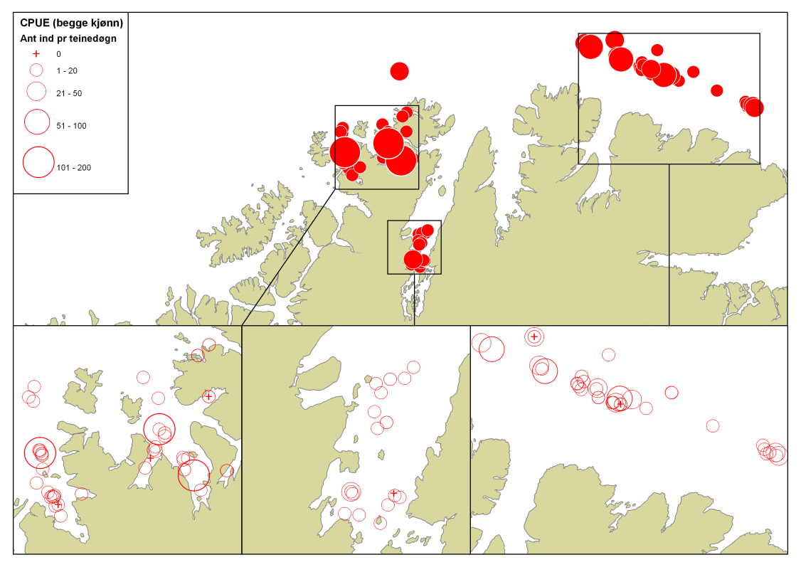 Figur 4. Gjennomsnittlig antall kongekrabber per teinedøgn tatt i det frie fisket i 2009.