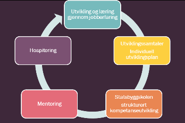 KARRIEREPROGRAM FOR PROSJEKTLEDERE Skreddersydd