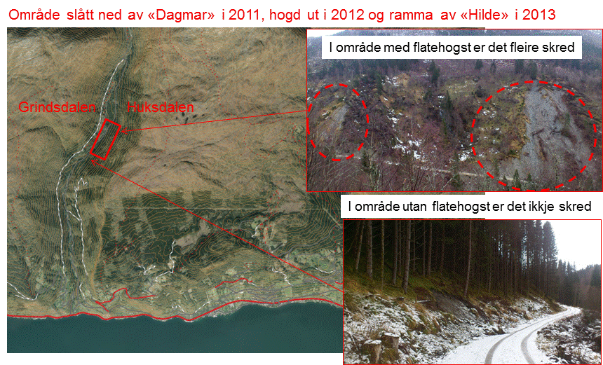 arhetsanalyse (ROS) ROS-analyse Leikanger kommune Jordskred, ekstremnedbør, skogsveg, flatehogst Eid (Sogn og Fjordane) Naustdal (Sogn og Fjordane)