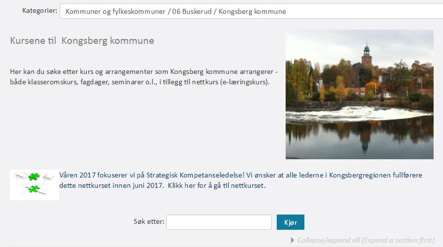Lenke til andre kurs på din kommunes forside Dersom en kommune vil synliggjøre et bestemt nasjonalt kurs som ligger på fellesområdet til KS Læring, kan man gjøre det ved å lage en lenke på kommunens