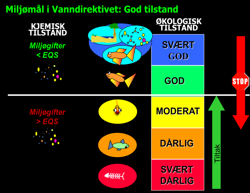 Bakgrunn: Vannforskriften Vannforskriften krever god økologisk og kjemisk tilstand i vannforekomster Kjemisk tilstand: Gjelder kun EUs prioriterte miljøgifter (Hg, Pb, Cd, Ni, PAH,.