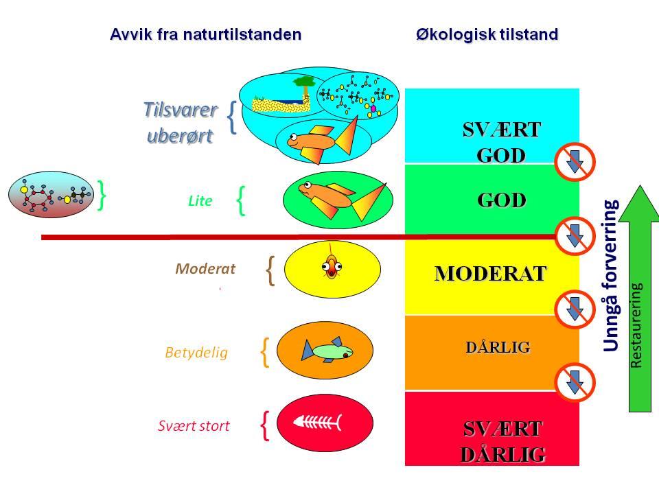 Figur : Illustrasjon av tilstandsklasser benyttet ved økologisk klassifisering i henhold til vanndirektivet. Kilde: Vannportalen.no.