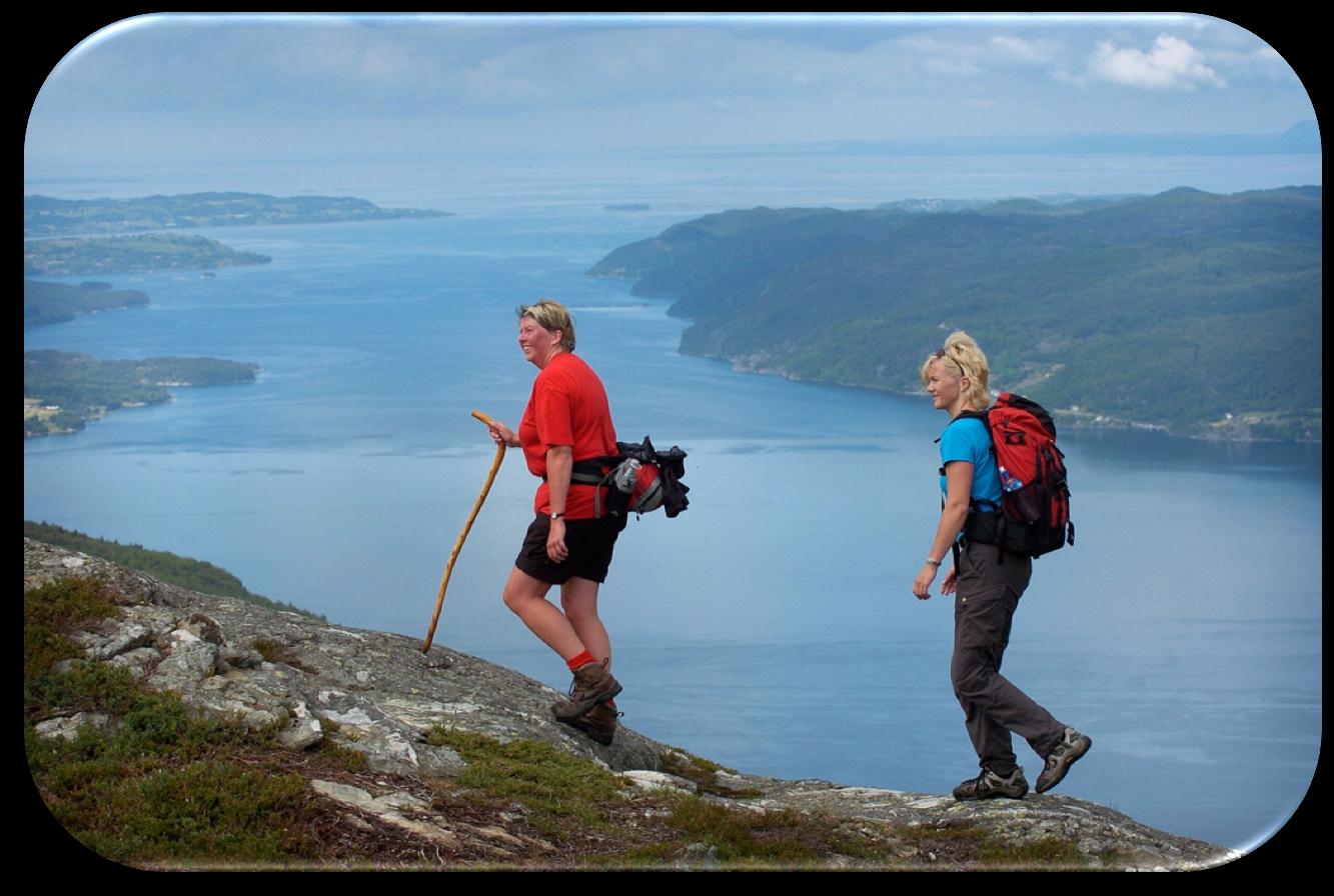 Folkehelsearbeidet i