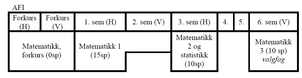 matematikkundervisningen ved AFI dekkes alt overveiende inn gjennom Kalkulus 1, 2 og 3 samt lineær algebra.