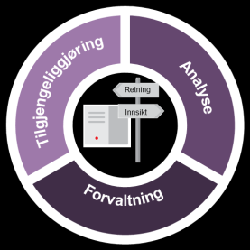 Basert på foreløpige funn fra kartlegging av nåsituasjonen har vi identifisert fire strategiske utfordringer Hvordan kan vi oppnå en bedre skalering med å bygge den digitale innbyggeren?