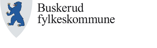 konsekvensutredning Drammen kommune