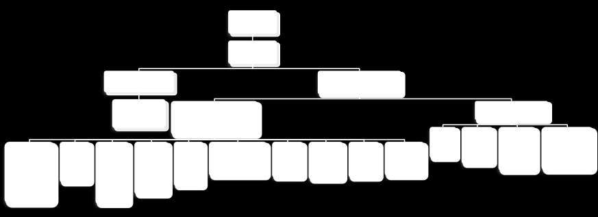 Figur 1: Eierstruktur (Olav