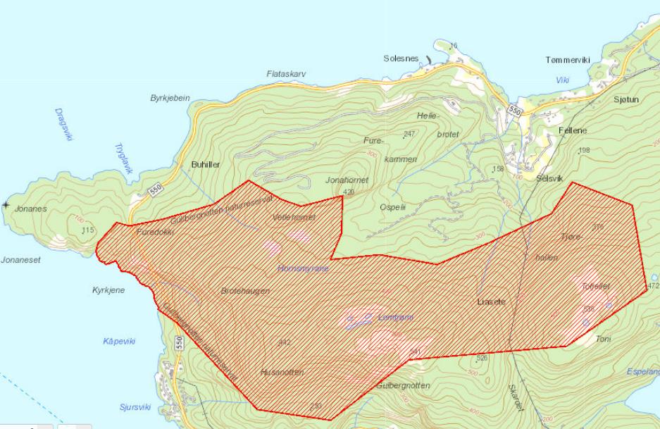 Området er markert i Miljødirektorats Naturbase som eit naturreservat med verneplan skogvern.