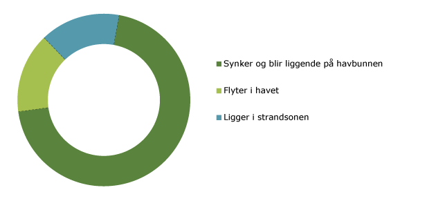 Rapporten beskriver utfordringane, og mellom anna kva som er sett i gong av tiltak.