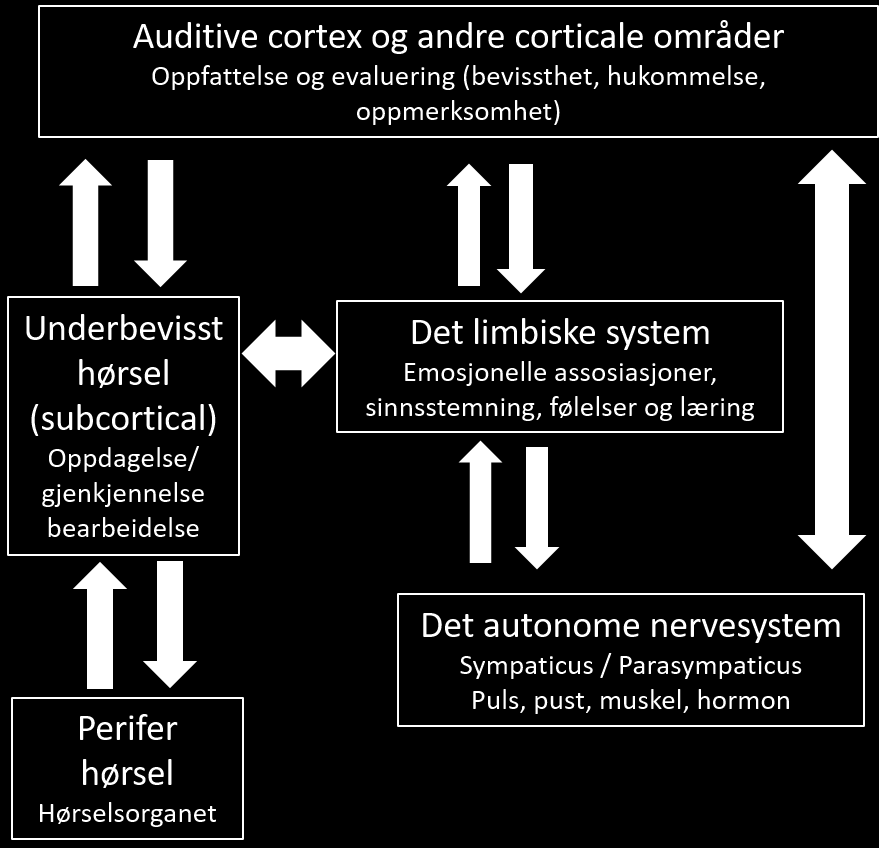 Mekanisme-basert definisjon: Hyperakusis - skyldes unormal sterk aktivering av hørselsystemet av lyd (Kan igjen kan føre til aktivering av følelsessystemet og det autonome nervesystem).