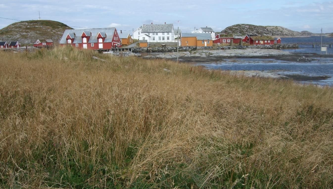 på fellesarealer på Karlholmen, Flatholmen og Heimværet.