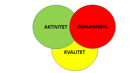 2.0 Generelt om økonomistyring innen pleie og omsorg For økonomistyring av pleie og omsorg er det viktig å ha fokus på områdene kvalitet, aktivitet og bemanning.