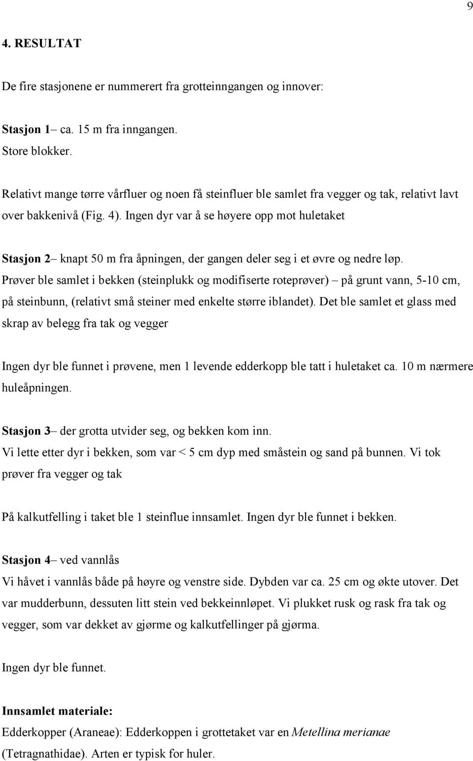 Ingen dyr var å se høyere opp mot huletaket Stasjon 2 knapt 50 m fra åpningen, der gangen deler seg i et øvre og nedre løp.