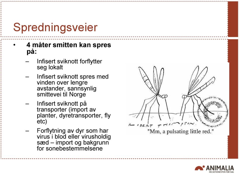 Infisert sviknott på transporter (import av planter, dyretransporter, fly etc)