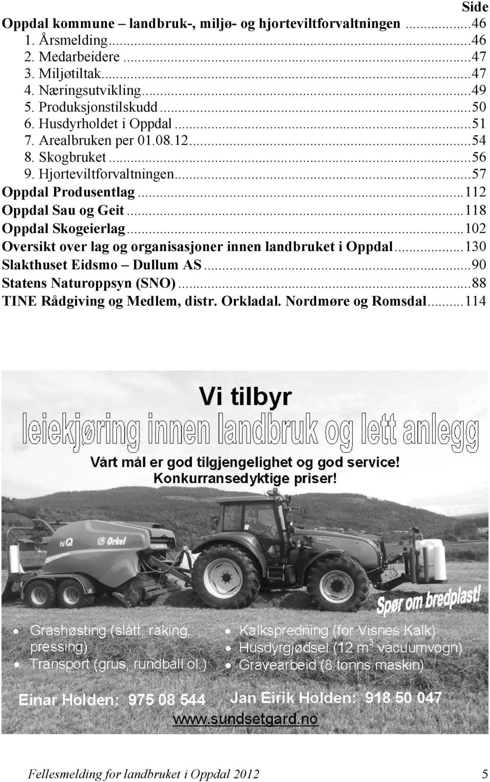 .. 57 Oppdal Produsentlag... 112 Oppdal Sau og Geit... 118 Oppdal Skogeierlag... 102 Oversikt over lag og organisasjoner innen landbruket i Oppdal.