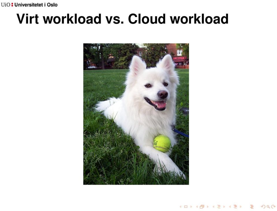 vs. Cloud