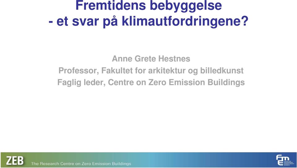 Anne Grete Hestnes Professor, Fakultet for