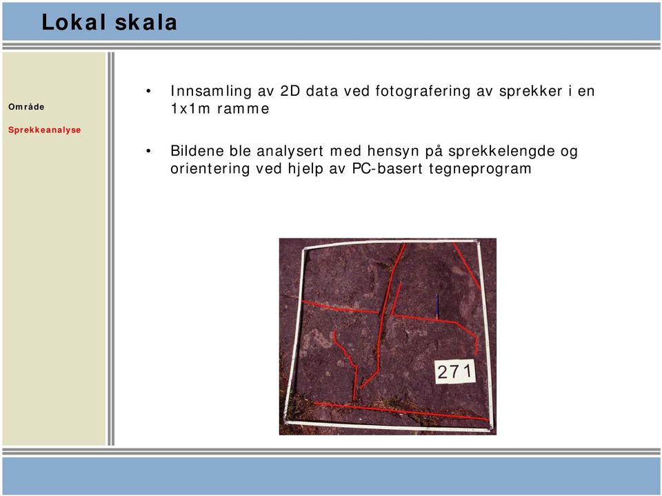 Bildene ble analysert med hensyn på