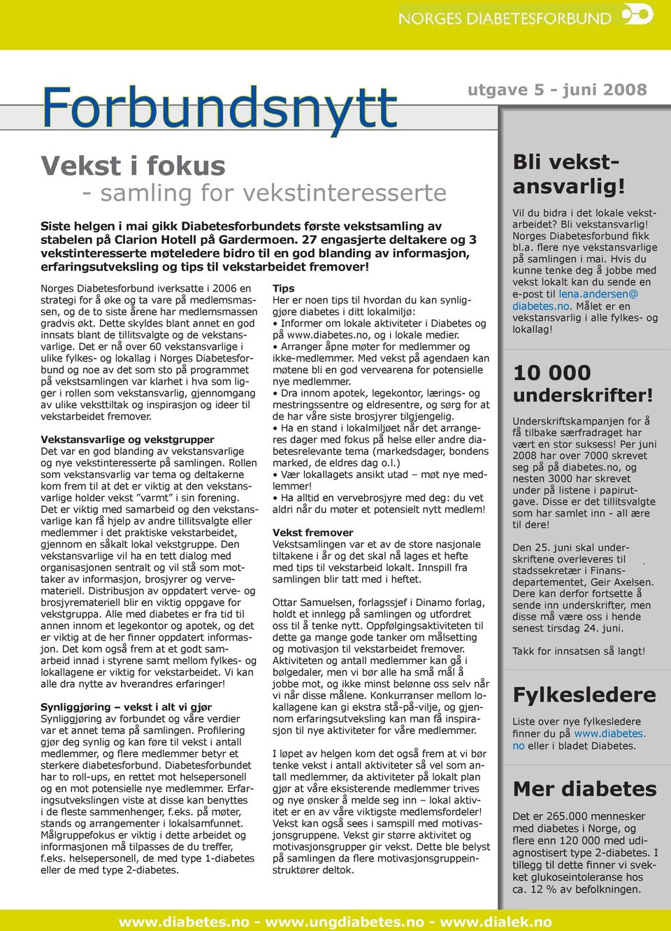 Norges Diabetesforbund iverksatte i 2006 en strategi for å øke og ta vare på medlemsmassen, og de to siste årene har medlemsmassen gradvis økt.