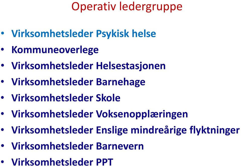 Virksomhetsleder Skole Virksomhetsleder Voksenopplæringen