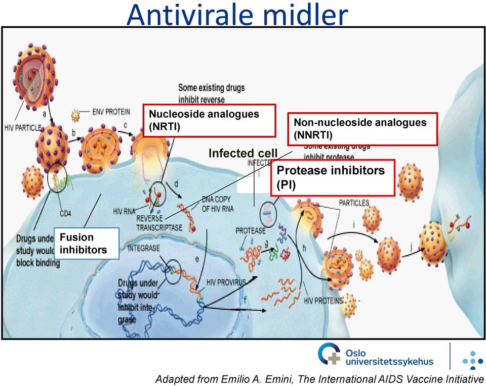 Protease inhibitors (PI) Fusion inhibitors Adapted