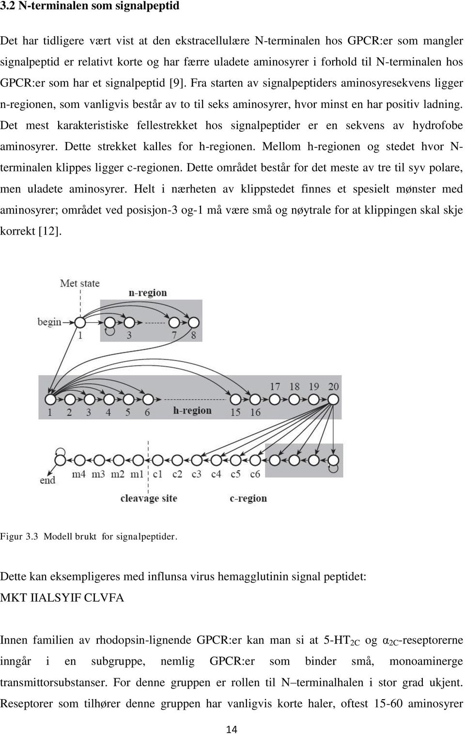 Fra starten av signalpeptiders aminosyresekvens ligger n-regionen, som vanligvis består av to til seks aminosyrer, hvor minst en har positiv ladning.