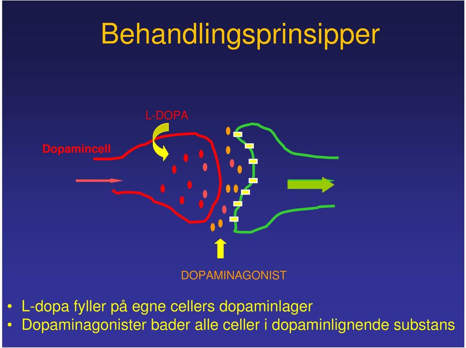 fyller på egne cellers dopaminlager