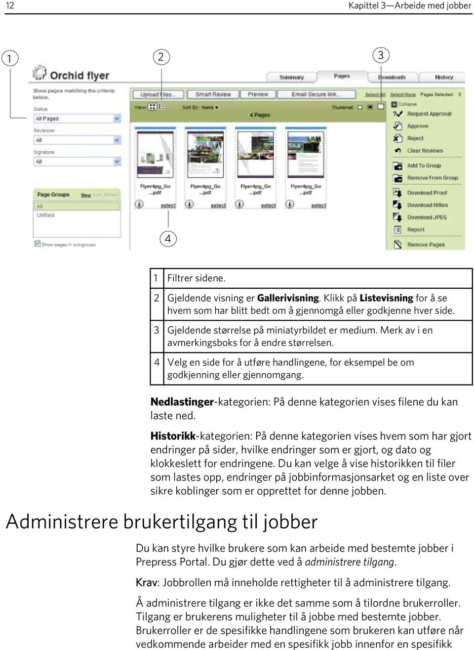 Nedlastinger-kategorien: På denne kategorien vises filene du kan laste ned.