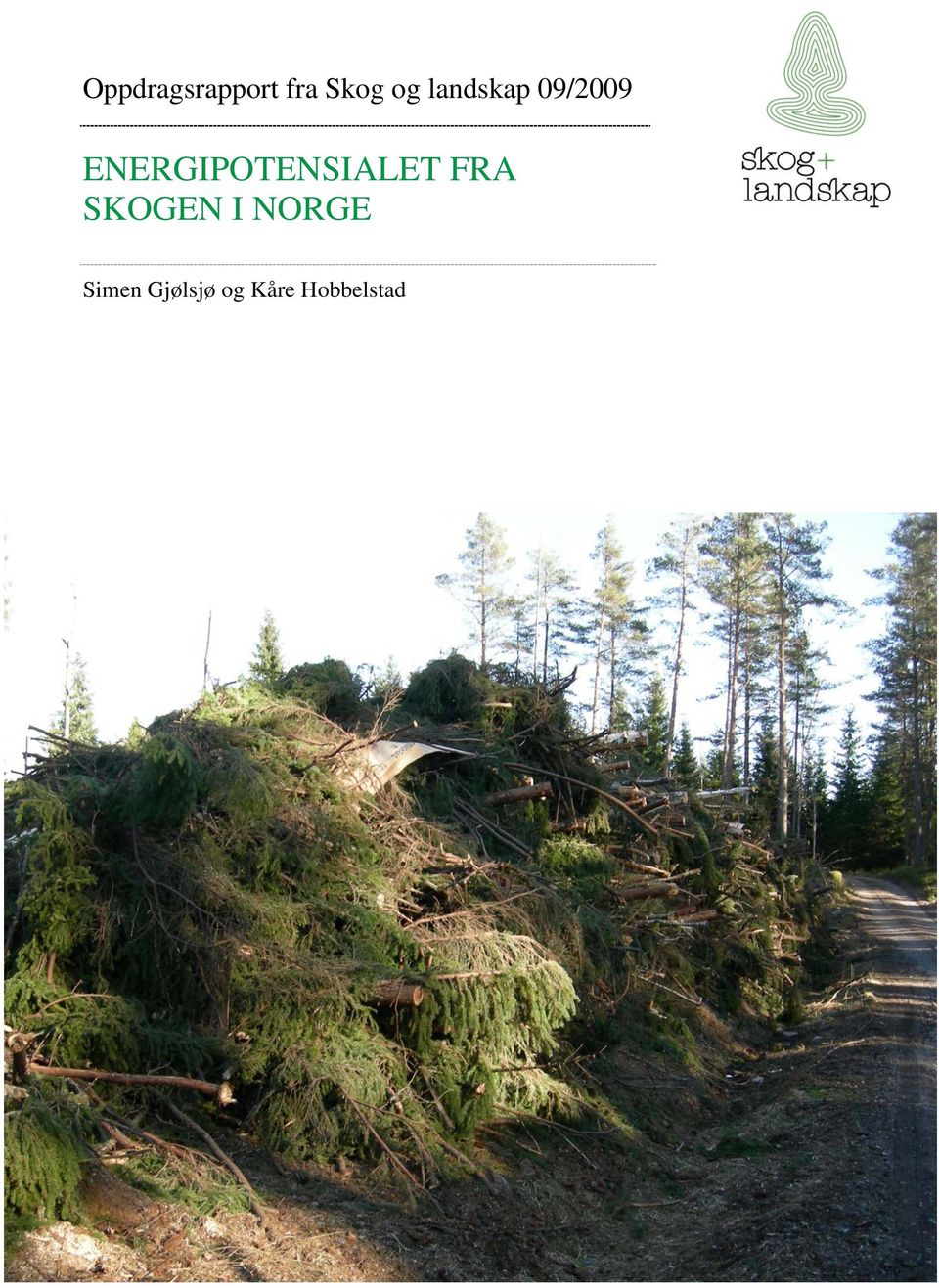 ENERGIPOTENSIALET FRA SKOGEN