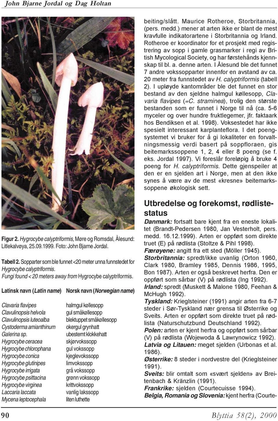 I Ålesund ble det funnet 7 andre vokssopparter innenfor en avstand av ca. 20 meter fra funnstedet av H. calyptriformis (tabell 2).