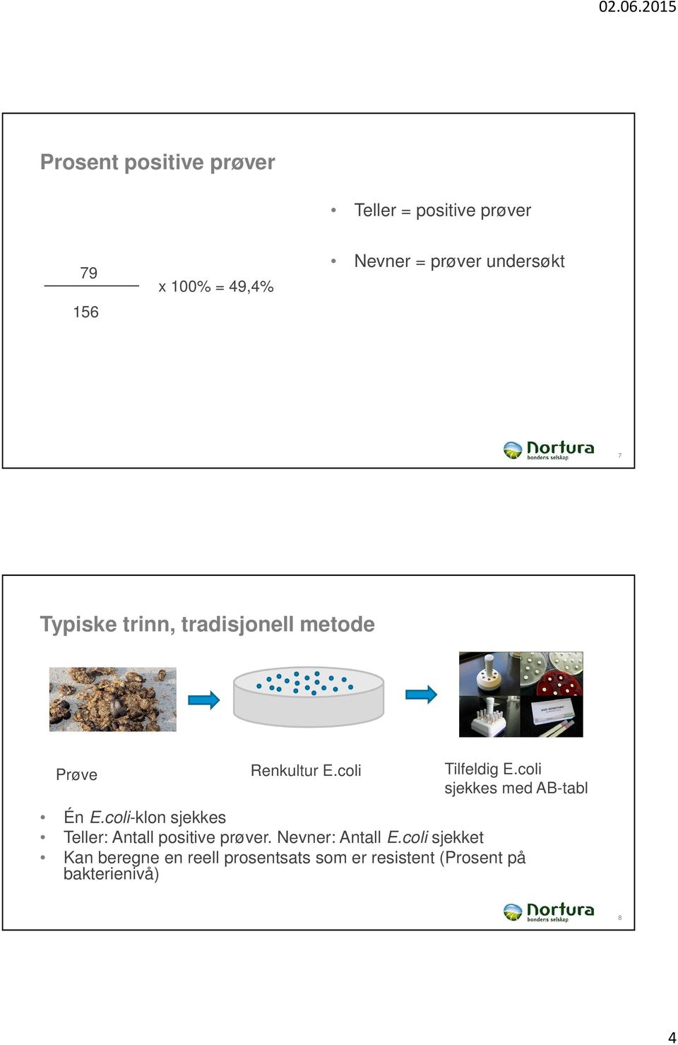 coli sjekkes med AB-tabl Én E.coli-klon sjekkes Teller: Antall positive prøver.