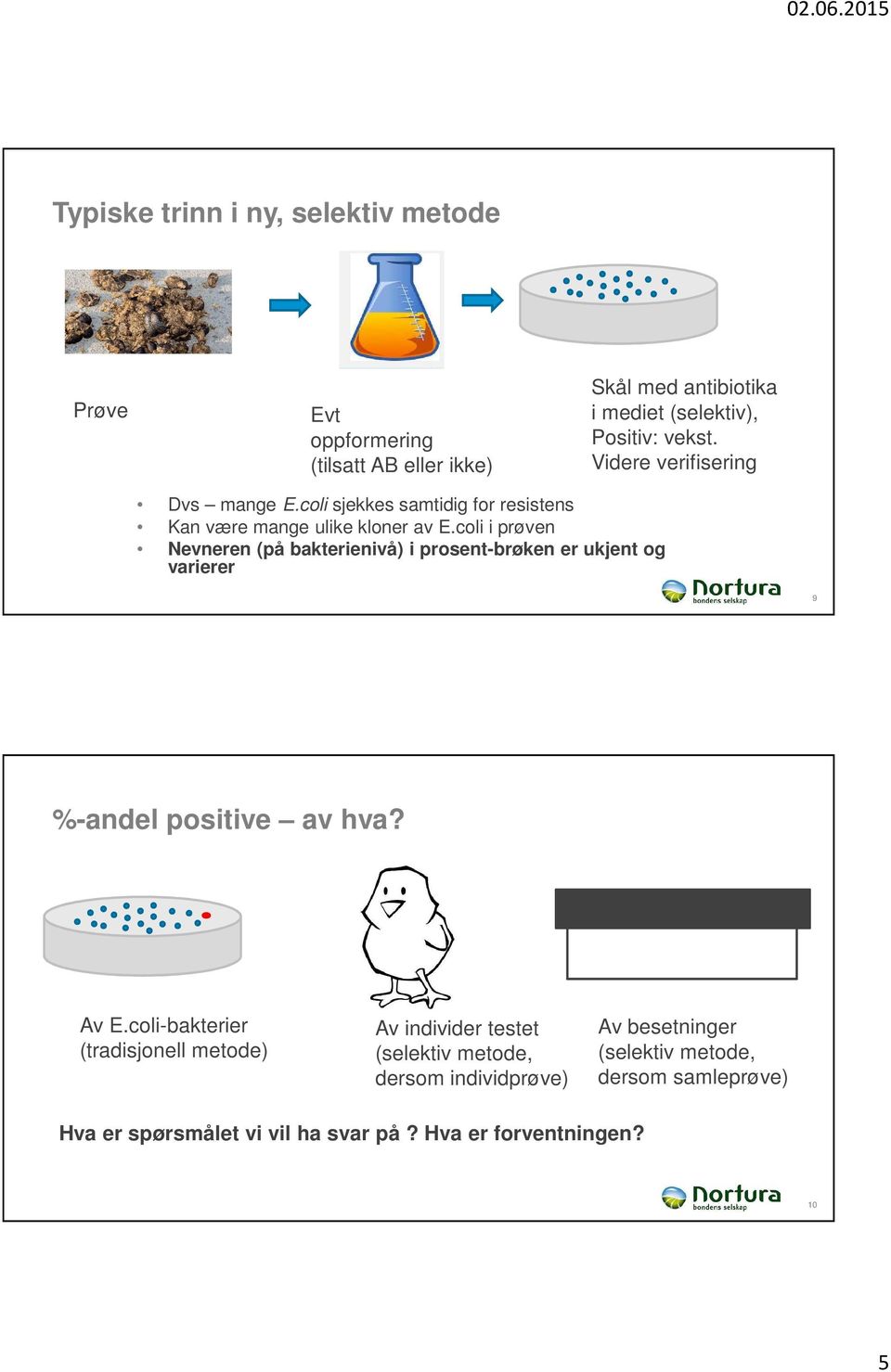 coli i prøven Nevneren (på bakterienivå) i prosent-brøken er ukjent og varierer 9 %-andel positive av hva? Av E.