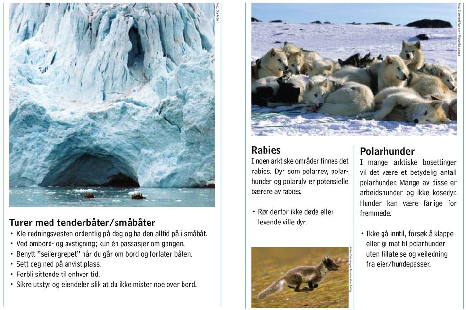 Sikre utstyr og eiendeler slik at du ikke mister noe over bord. Rabies I noen arktiske områder finnes det rabies. Dyr som polarrev, polarhunder og polarulv er poten sielle bærere av rabies.
