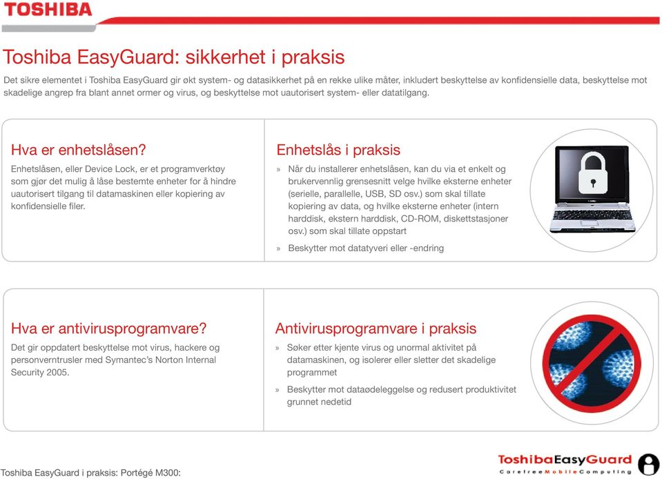 Enhetslåsen, eller Device Lock, er et programverktøy som gjør det mulig å låse bestemte enheter for å hindre uautorisert tilgang til datamaskinen eller kopiering av konfidensielle filer.