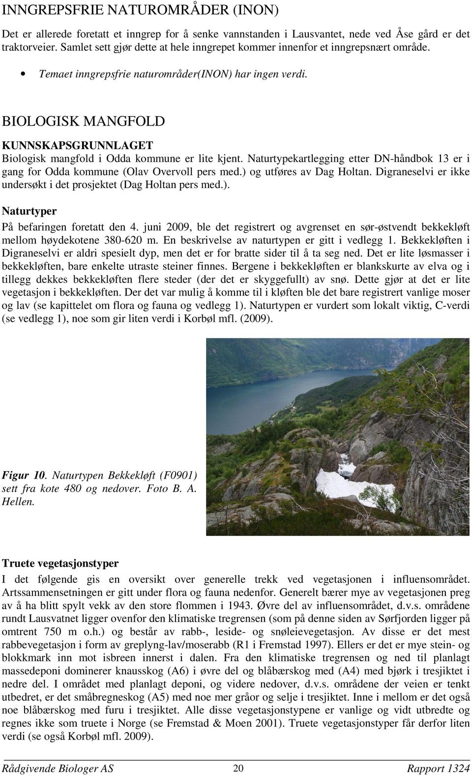 BIOLOGISK MANGFOLD KUNNSKAPSGRUNNLAGET Biologisk mangfold i Odda kommune er lite kjent. Naturtypekartlegging etter DN-håndbok 13 er i gang for Odda kommune (Olav Overvoll pers med.