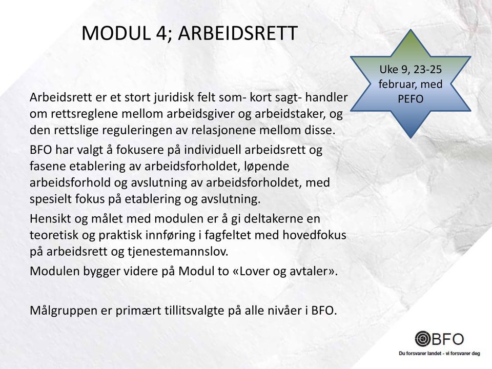 BFO har valgt å fokusere på individuell arbeidsrett og fasene etablering av arbeidsforholdet, løpende arbeidsforhold og avslutning av arbeidsforholdet, med spesielt fokus