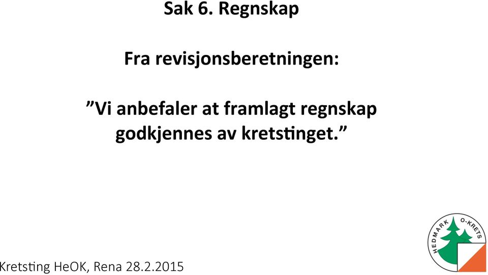 revisjonsberetningen: Vi